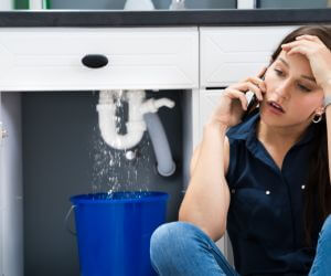 About Plumbers Pros Kathleen, FL